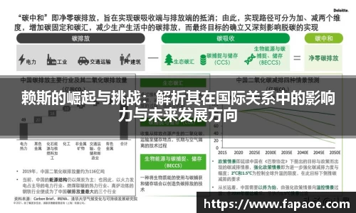赖斯的崛起与挑战：解析其在国际关系中的影响力与未来发展方向