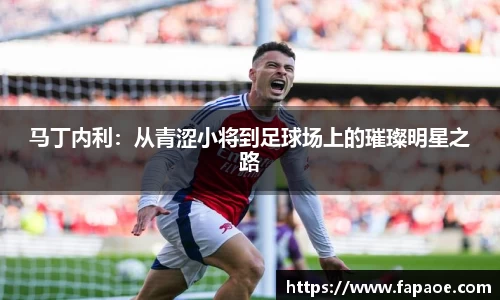 马丁内利：从青涩小将到足球场上的璀璨明星之路